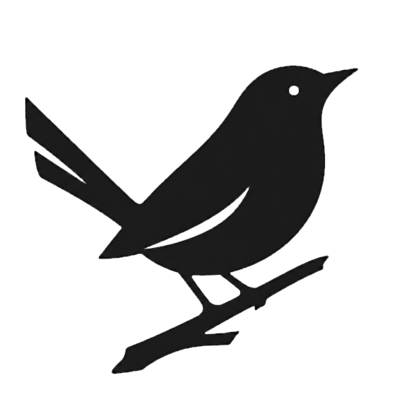 Canary